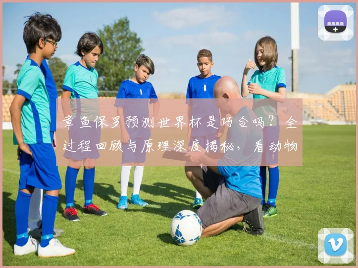 章鱼保罗预测世界杯是巧合吗？全过程回顾与原理深度揭秘，看动物预言背后的真相